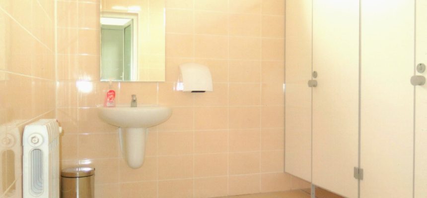 Neue Toiletten für Schule in Moldawien