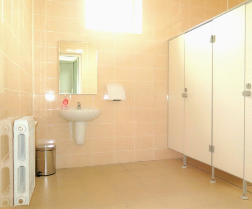 Neue Toiletten für Schule in Moldawien