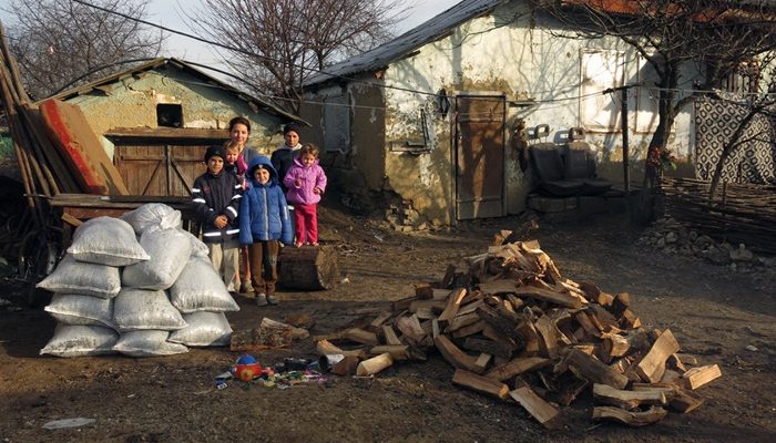 Brennholz für Moldawien